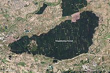 Bachelor of Science Forestry (Botany, Zoology, forestry) Technology 2 Niepolomice oli 2013251