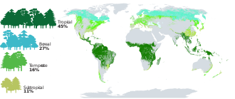 Bachelor of Science Forestry (Botany, Zoology, forestry)Design 4 Proportion and distribution of global forest area by climatic domain 2020.svg