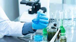 Read more about the article Bachelor of Science Forestry (Botany, Zoology, forestry)in India
