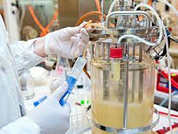 Bachelor of Science Biotechnology (CBT) – Chemistry, Botany, Biotechnology Syllabus 2 fgfg