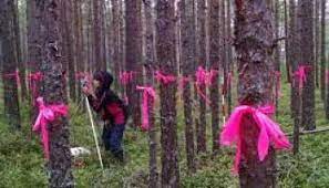 Bachelor of Science Forestry (Botany, Zoology, forestry) Case Study 2 fgrd