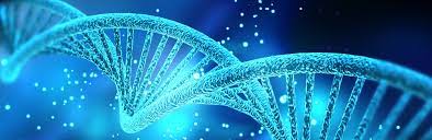 Read more about the article Bachelor of Science Biotechnology (CBT) – Chemistry, Botany, Biotechnology in UK