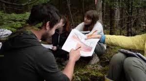 You are currently viewing Bachelor of Science Forestry (Botany, Zoology, forestry University