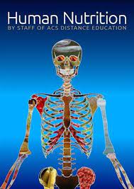 Read more about the article Diploma In Nutrition in India