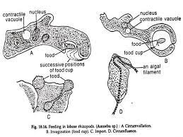 images 9