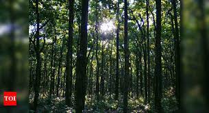 Read more about the article Bachelor of Science Forestry (Botany, Zoology, forestry) Research
