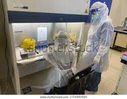 Read more about the article Bachelor of Science Microbiology (CBM) – Chemistry, Botany, Microbiology Research