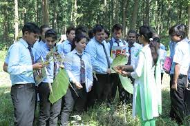 Bachelor of Science Forestry (Botany, Zoology, forestry Student Corner 4 rt