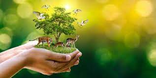 Bachelor of Science Forestry (Botany, Zoology, forestry Lab 4 rtr 2