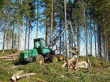 Bachelor of Science Forestry (Botany, Zoology, forestry) White Paper 4 rtrd