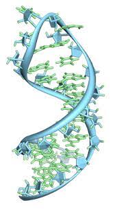 You are currently viewing Bachelor of Science Biotechnology (CBT) – Chemistry, Botany, Biotechnology Library