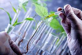 Bachelor of Science Biotechnology (CBT) – Chemistry, Botany, Biotechnology Lab 2 uyid
