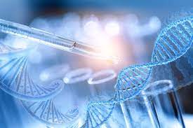 Bachelor of Science Biotechnology (CBT) – Chemistry, Botany, Biotechnology Campus Life 4 yjhy