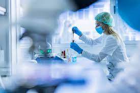 Bachelor of Science Biotechnology (CBT) – Chemistry, Botany, Biotechnology Alumni 3 yt7