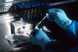 Bachelor of Science Biotechnology (CBT) – Chemistry, Botany, Biotechnology Alumni 4 ytu 1