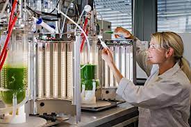 Read more about the article Bachelor of Science Biotechnology (CBT) – Chemistry, Botany, Biotechnology Education