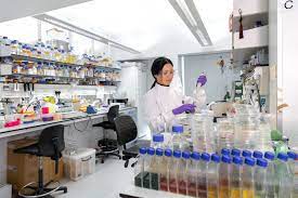 Read more about the article Bachelor of Science Biotechnology (CBT) – Chemistry, Botany, Biotechnology Research