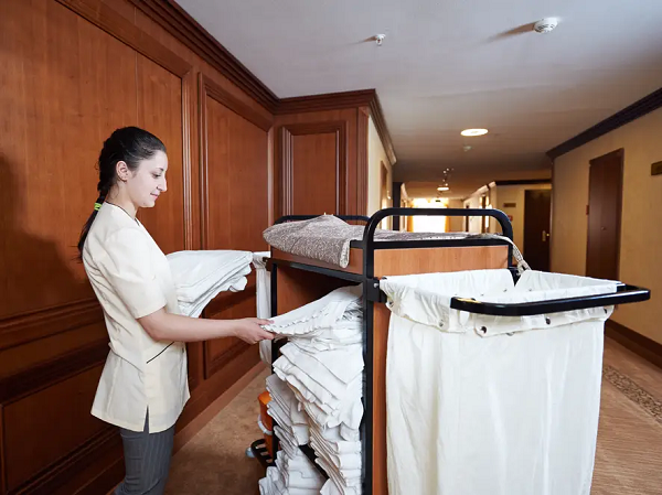Read more about the article Housekeeping