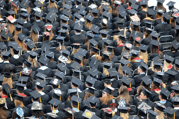Read more about the article Bachelors in Commerce (B.Com)