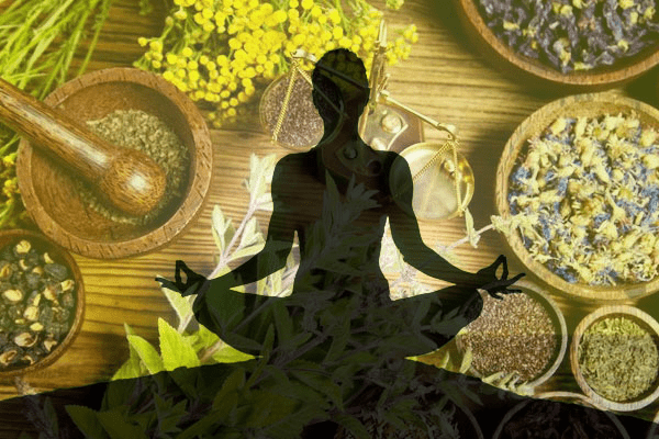 Read more about the article School of Yoga and Naturopathy