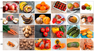 Read more about the article Classification of vegetables and fruits