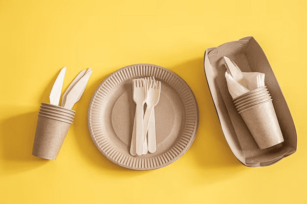 Read more about the article Disposables