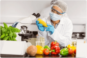 Read more about the article FOOD SCIENCE