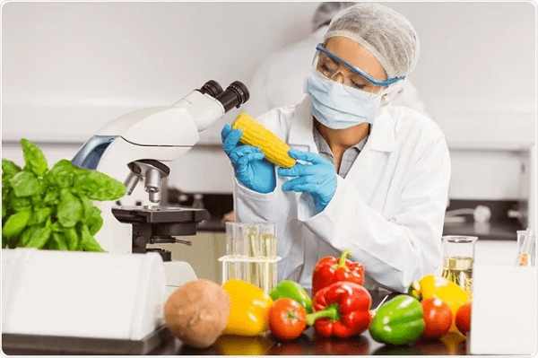 Read more about the article FOOD SCIENCE