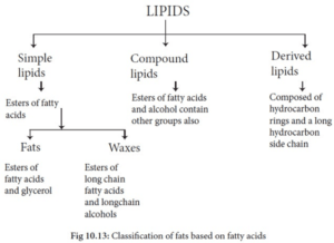 Read more about the article Fats‐classification