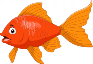 Read more about the article Fish