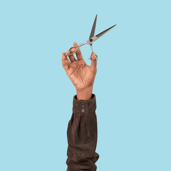 Read more about the article Grape scissors