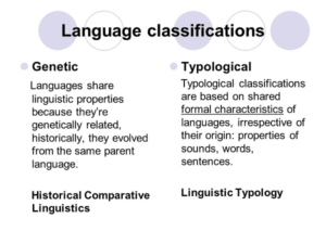 Read more about the article Language Classification