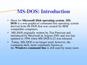 Read more about the article MS DOS Introduction