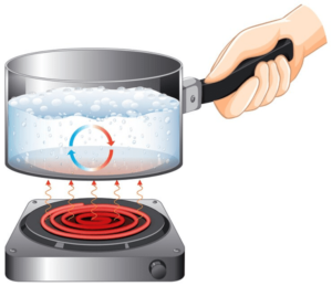 Read more about the article Methods of Cooking (Radiation, Convection, Conduction)