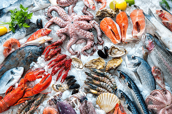 Read more about the article Name of the sea foods