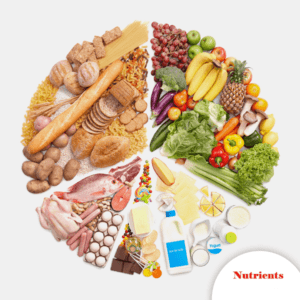 Read more about the article Nutrients