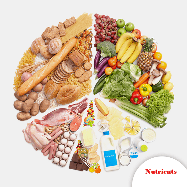 Read more about the article Nutrients