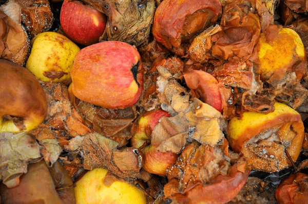 Read more about the article Rancidity
