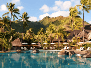 Read more about the article Resorts