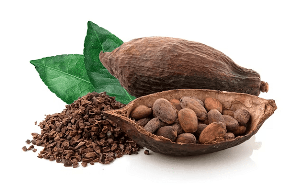 Read more about the article Cocoa