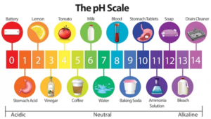 Read more about the article Ph Scale