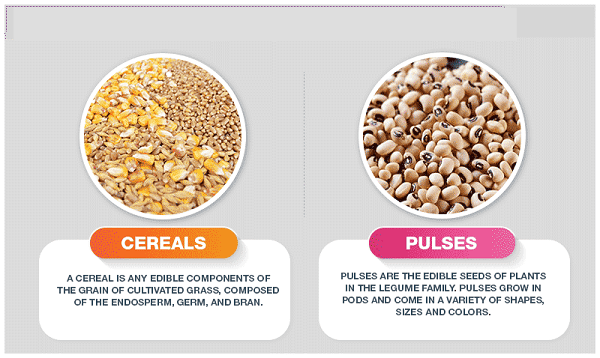 Read more about the article Pulses & Cereals