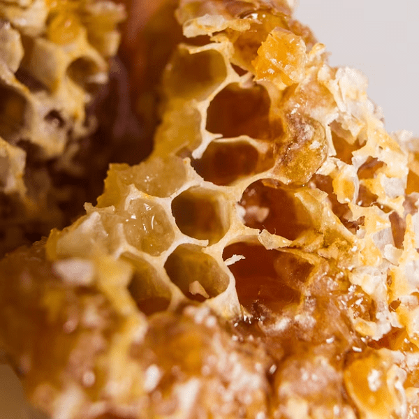Sweets Honeycomb mould 2 Sweets Honeycomb mould
