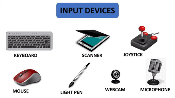 Read more about the article Input devices