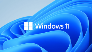 Read more about the article Microsoft Windows I