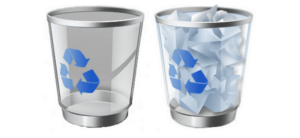 Read more about the article Recycle Bin