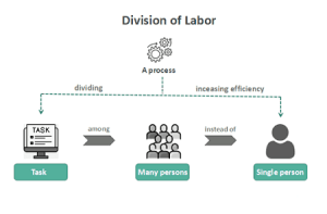Read more about the article Division of labour capital