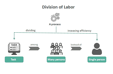 Read more about the article Division of labour capital