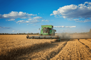 Read more about the article Harvesting