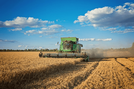 Read more about the article Harvesting